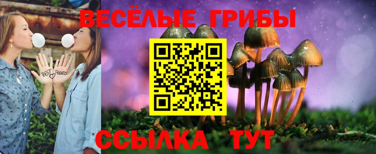 Псилоцибиновые грибы MAGIC MUSHROOMS  Галлюциногенные грибы GOLDEN TEACHER  Куйбышев  Вход с VPN 